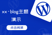 xx-blog主题后台自定义简码演示